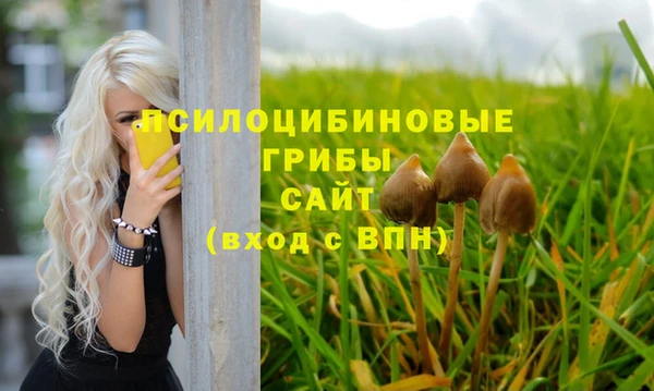 соль ск Волоколамск