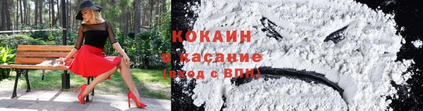 индика Бугульма