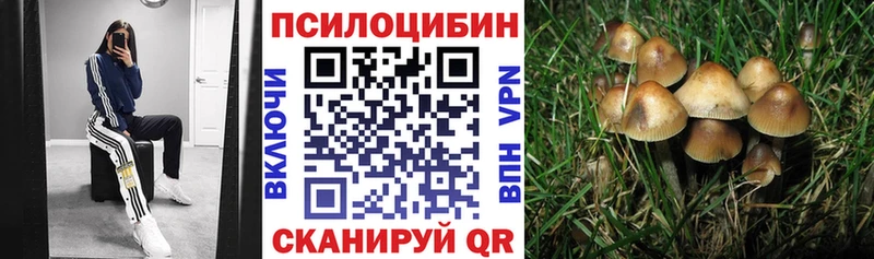 Псилоцибиновые грибы Magic Shrooms  Гусь-Хрустальный 